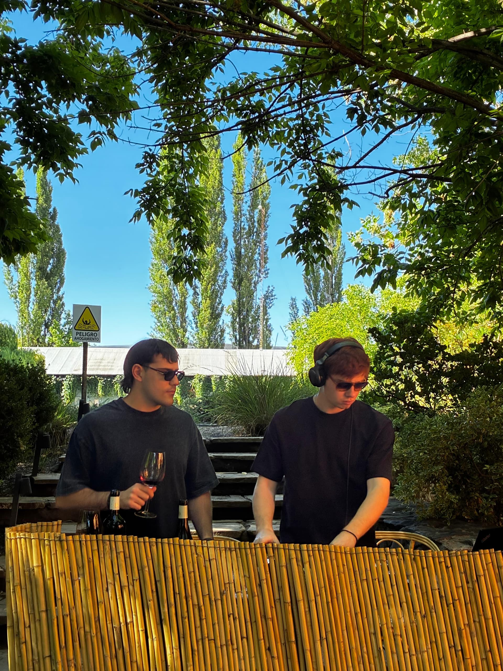 ANDO Professional Photo 2